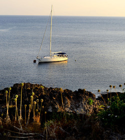 ISOLA DI USTICA la costa. Fotografie di Giulio Azzarello &copy;2016.