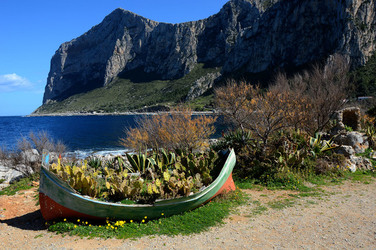 CAPO GALLO riserva marina e naturalistica a Palermo panoramiche e particolari. Fotografie di Giulio Azzarello ©2014. CAPO GALLO riserva marina e naturalistica a Palermo panoramiche e particolari. Fotografie di Giulio Azzarello ©2014.