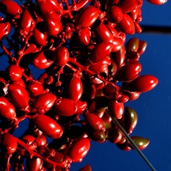 SPECCHIATI. Fotografia di Giulio Azzarello ©2023. SPECCHIATI. Fotografia di Giulio Azzarello ©2023.