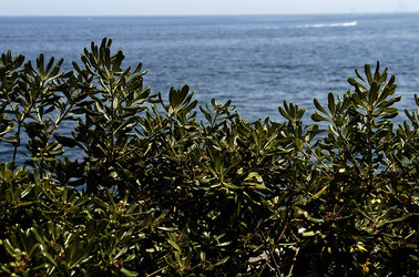 FOTOGRAFIE SPECIALI bianco e nero colore astratto concettuale grafico. Fotografie di Giulio Azzarello &copy;2014.