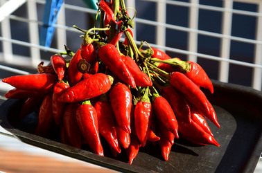 PEPERONCINO fotografie di Giulio Azzarello ©2014. PEPERONCINO fotografie di Giulio Azzarello ©2014.