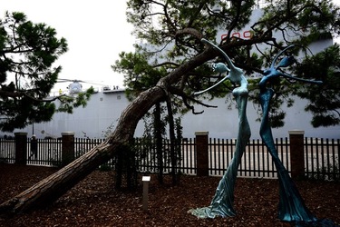 BIENNALE ARTI CONTEMPORANEE DI VENEZIA fotografie di Giulio Azzarello ©2020.