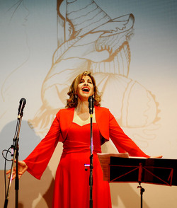 SPETTACOLO di Sara Favar&ograve; e della sua compagnia. Fotografie di Giulio Azzarello &copy;2015 2016.