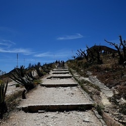 SEGESTA. Fotografie di Giulio Azzarello ©2024. SEGESTA. Fotografie di Giulio Azzarello ©2024.