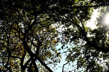 GIARDINI della BIENNALE a Venezia. Foto di Giulio Azzarello &copy;2015 2016.