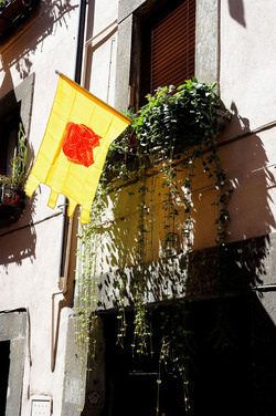 SANTA ROSA a Viterbo. Fotografie di Giulio Azzarello &copy;2014.