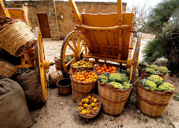 IL PRESEPE VIVENTE DI CUSTONACI in Sicilia. Fotografie di Giulio Azzarello ©2014. IL PRESEPE VIVENTE DI CUSTONACI in Sicilia. Fotografie di Giulio Azzarello ©2014.