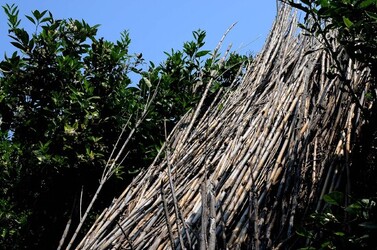 IL CANNETO del contadino siciliano. Fotografie di Giulio Azzarello &copy;2014.