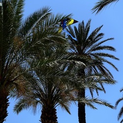 SAN VITO LO CAPO. Fotografie di Giulio Azzarello &copy;2023.