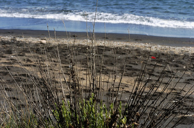 ARTE CONTEMPORANEA A PIRGI sito e riserva archeologica. Fotografie di Giulio Azzarello &copy;2014.