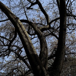 ORTO BOTANICO. Fotografie di Giulio Azzarello &copy;2024.