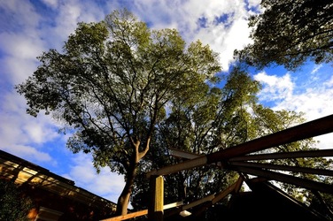 BIENNALE di VENEZIA 2017 i giardini. Fotografie di Giulio Azzarello ©2018. BIENNALE di VENEZIA 2017 i giardini. Fotografie di Giulio Azzarello ©2018.