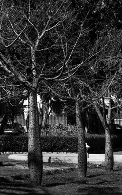 BIANCO NERO. Fotografie di Giulio Azzarello ©2021. BIANCO NERO. Fotografie di Giulio Azzarello ©2021.