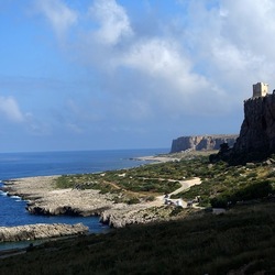 MACARI. Fotografie di Giulio Azzarello &copy;2023.