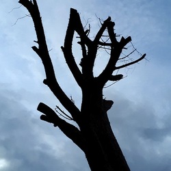 INVERNO. Fotografie di Giulio Azzarello &copy;2023.