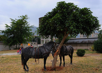 LA BATTAGLIA DI PONTE AMMIRAGLIO a Palermo lo sbarco dei mille . Fotografie di Giulio Azzarello &copy;2014.