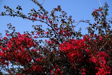 MONDELLO. Fotografie di Giulio Azzarello &copy;2023.