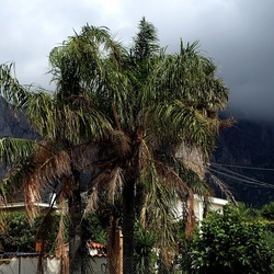 CAMMINANDO. Fotografie di Giulio Azzarello &copy;2024.