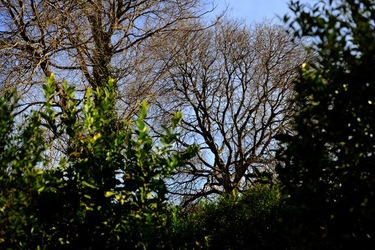 CAMPAGNA fotografie di Giulio Azzarello ©2020.