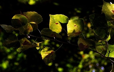 PALERMO fotografie di Giulio Azzarello ©2020.