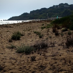 SELINUNTE. Fotografie di Giulio Azzarello ©2022. SELINUNTE. Fotografie di Giulio Azzarello ©2022.