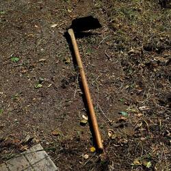 GIARDINO SICILIANO. Fotografie di Giulio Azzarello &copy;2024.