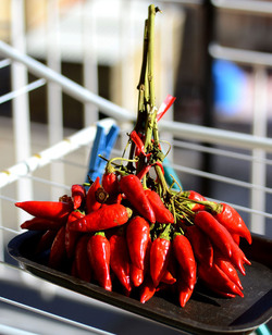 PEPERONCINO fotografie di Giulio Azzarello ©2014. PEPERONCINO fotografie di Giulio Azzarello ©2014.