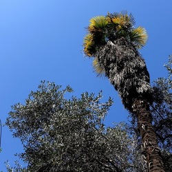 Arabo Normanno. Fotografie di Giulio Azzarello ©2024. Arabo Normanno. Fotografie di Giulio Azzarello ©2024.