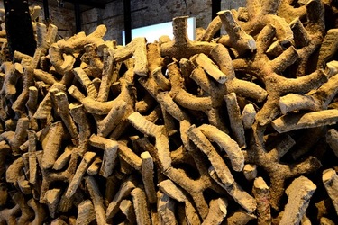 VENEZIA Padiglione Emirati Arabi Arsenale. Biennale Arch. Cont. Fotografie di Giulio Azzarello &copy;2022.