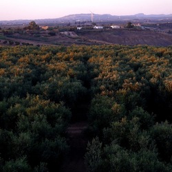 SELINUNTE. Fotografie di Giulio Azzarello ©2022. SELINUNTE. Fotografie di Giulio Azzarello ©2022.