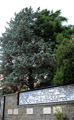 IL SACRARIO DI MARZABOTTO panoramiche e particolari. Fotografie di Giulio Azzarello &copy;2014.