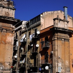ORTO BOTANICO di PALERMO. Fotografie di Giulio Azzarello ©2019.
