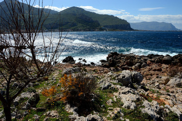 CAPO GALLO riserva marina e naturalistica a Palermo panoramiche e particolari. Fotografie di Giulio Azzarello ©2014. CAPO GALLO riserva marina e naturalistica a Palermo panoramiche e particolari. Fotografie di Giulio Azzarello ©2014.