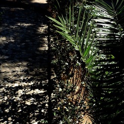 Arabo Normanno. Fotografie di Giulio Azzarello ©2024. Arabo Normanno. Fotografie di Giulio Azzarello ©2024.