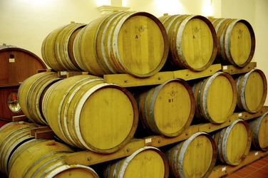 BOTTI per il vino. Fotografie di Giulio Azzarello ©2016. BOTTI per il vino. Fotografie di Giulio Azzarello ©2016.