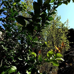 Arabo Normanno. Fotografie di Giulio Azzarello ©2024. Arabo Normanno. Fotografie di Giulio Azzarello ©2024.