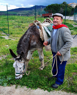 TIPICO FRANTOIO fotografie di Giulio Azzarello ©2014. TIPICO FRANTOIO fotografie di Giulio Azzarello ©2014.