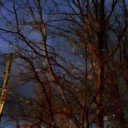 INVERNO. Fotografie di Giulio Azzarello &copy;2023.