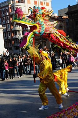 CAPODANNO CINESE panoramiche e particolari. Fotografie di Giulio Azzarello &copy;2014.