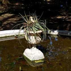 ORTO BOTANICO DI PALERMO. Fotografie di Giulio Azzarello ©2022. ORTO BOTANICO DI PALERMO. Fotografie di Giulio Azzarello ©2022.