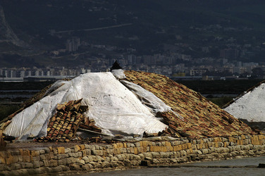 WWF Sicilia le Saline di Trapani. Fotografie di Giulio Azzarello &copy;2014.