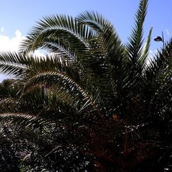 MONDELLO fotografie di Giulio Azzarello ©2021. MONDELLO fotografie di Giulio Azzarello ©2021.