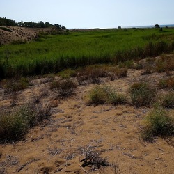 SELINUNTE. Fotografie di Giulio Azzarello ©2022. SELINUNTE. Fotografie di Giulio Azzarello ©2022.