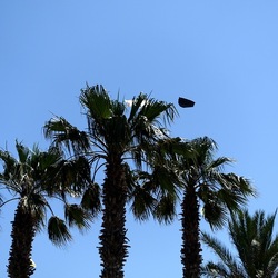 SAN VITO LO CAPO. Fotografie di Giulio Azzarello &copy;2023.