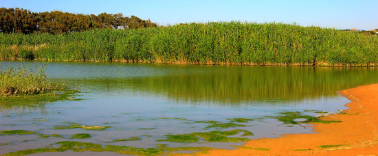 CANNETI in SICILIA. Fotografie di Giulio Azzarello &copy;2016.