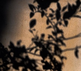 OMBRE di agosto. Fotografie di Giulio Azzarello &copy;2018.