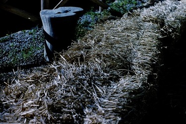 DIGITALIZZAZIONI fotografie di Giulio Azzarello &copy;2020.