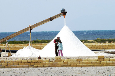WWF Sicilia le Saline di Trapani. Fotografie di Giulio Azzarello &copy;2014.