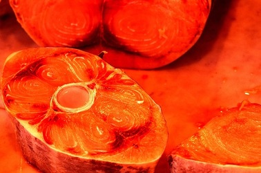 VUCCIRIA anni 90. Fotografie di Giulio Azzarello ©2022.