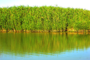CANNETI in SICILIA. Fotografie di Giulio Azzarello &copy;2016.